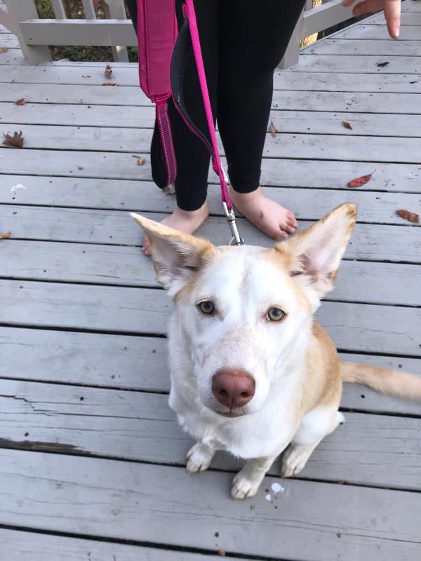 /Images/uploads/Congregation Beth Emeth/bethemeth/entries/17635thumb.jpg